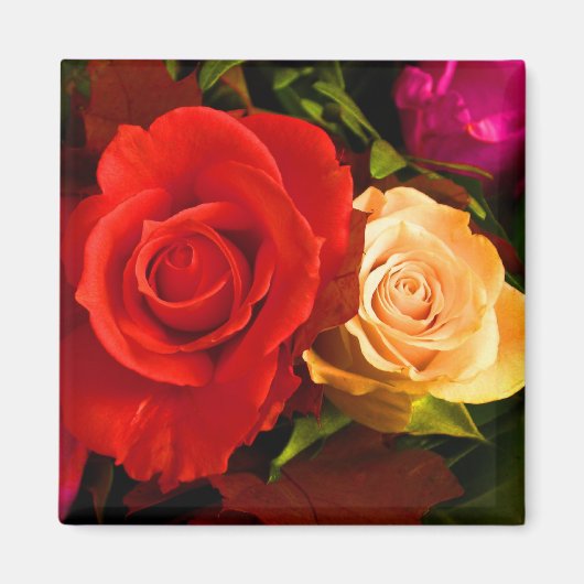 Rouge Yellow Rose Magnet - Personnalisable (Devant)