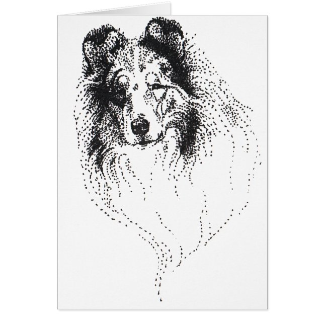 Rough Blue Merle Collie (Voorkant)
