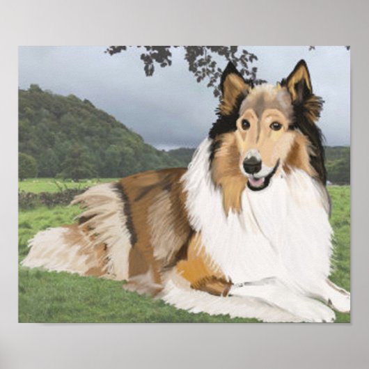 Rough Collie against Yorkshire Dales Poster (Voorkant)