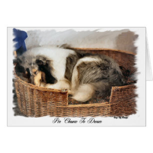 Rough Collie Art Don