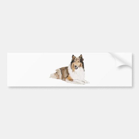 Rough Collie Bumpersticker (Voorkant)