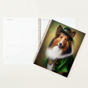 Rough Collie Chien dans la tenue de la Saint Patri
