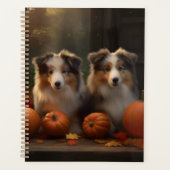 Rough Collie chiot Automne Délice Citrouille (Devant)