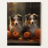 Rough Collie chiot Automne Délice Citrouille (Dos)