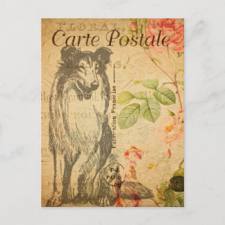 Rough Collie Dog Floral Flowers French Briefkaart
