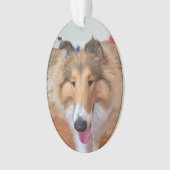 Rough Collie Dog Ornament (voorkant)