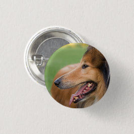 Rough Collie Face Ronde Button 3,2 Cm