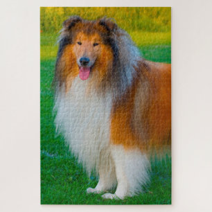 Rough Collie hond legpuzzels. Legpuzzel