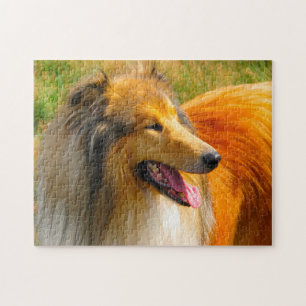 Rough Collie hond legpuzzels. Legpuzzel