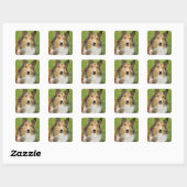 Rough Collie, hond Vierkante Sticker (Vel)