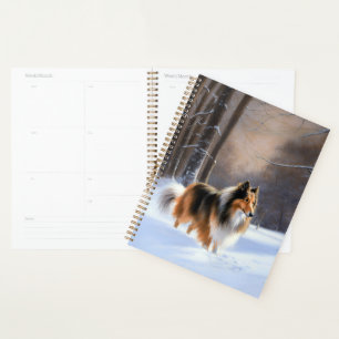 Rough Collie Laisser Neige Noël