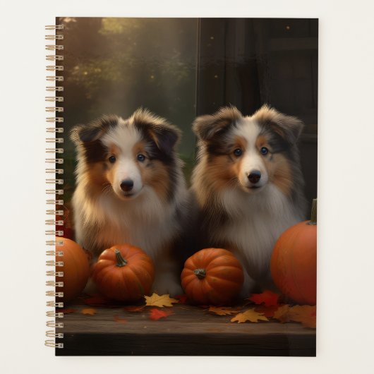 Rough Collie Puppy Automne Citrouille de plaisir (Devant)