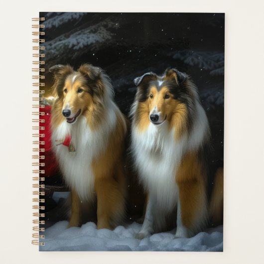 Rough Collie Snowy Sleigh Décor de Noël (Devant)