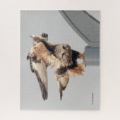 Rough-Legged Hawk Op Een Lamppost Legpuzzel (Verticaal)