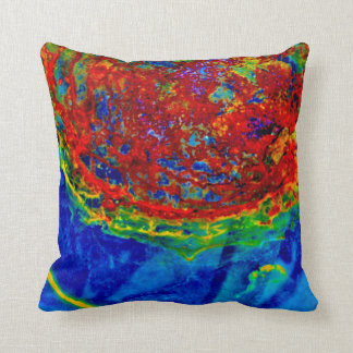 "Rouille sur" le coussin en verre d'art de JTG