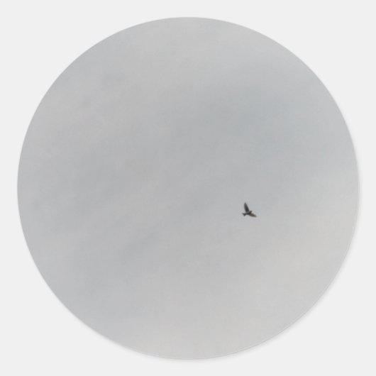 ROULEAU AUTOCOLLANT (Devant)