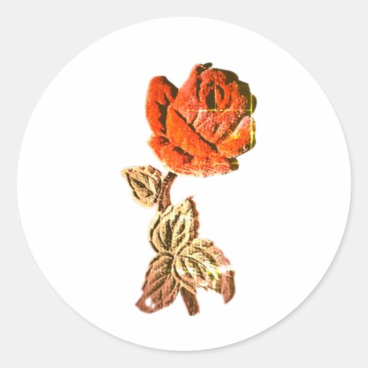 ROULEAU AUTOCOLLANT  (Devant)