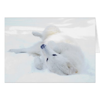 Roulement dans la neige