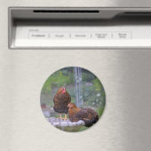 Round Chicken Magnet Magneet (Insitu (Vaatwasser))