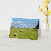 Round Hay Bales op Hill - I Kaart (Gele Bloem)