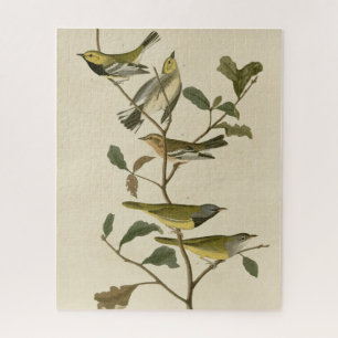 Rourning, andere Warblers, audubon Birds of Americ Legpuzzel