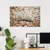 Rourning Dove 3 Print (Thuiskantoor)