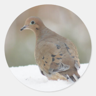 Rourning Dove foto op persoonlijke rondetjesmakers Ronde Sticker