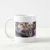 Rourning Dove Nest, Nesting Mourning Dove Koffiemok (Links)