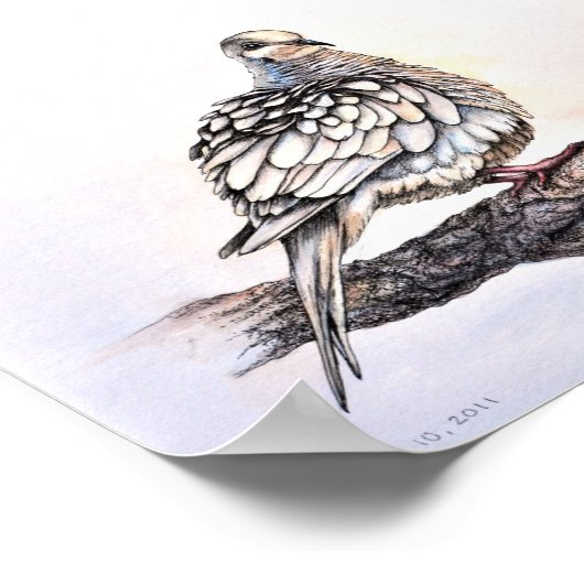 Rourning Dove Print (Hoek)