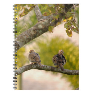 Rourning Doves Birds-laptop Notitieboek