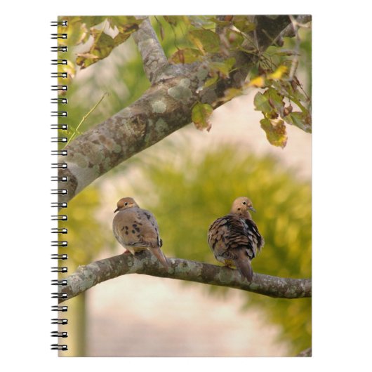 Rourning Doves Birds-laptop Notitieboek (Voorkant)