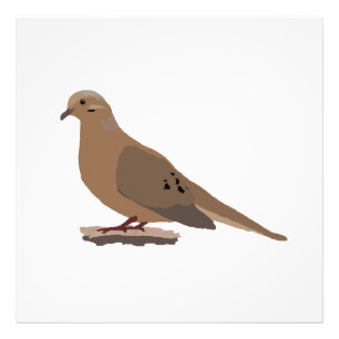 Rourning, Love of Turtle Dove Digitally Drage Bird Foto Afdruk