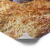 Route 66 Ancien Poster de camion (Coin)