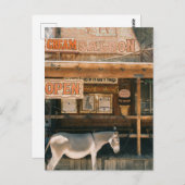 Route 66 Burros Briefkaart (Voorkant / Achterkant)