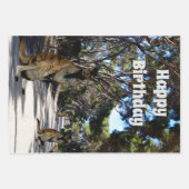 Route australienne des wallabies, feuilles de papi (Devant 2)