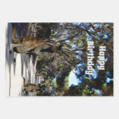 Route australienne des wallabies, feuilles de papi (Devant)