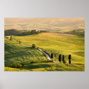 Route blanche en affiche de paysage de la Toscane