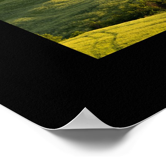 Route blanche en Toscane paysage imprimé poster no (Coin)