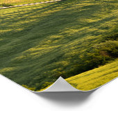 Route blanche en Toscane poster paysage (Coin)