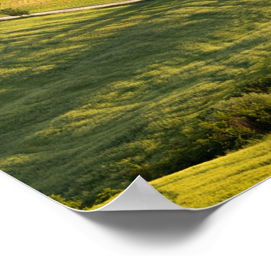 Route blanche en Toscane poster paysage (Coin)