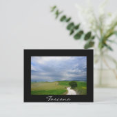 Route courbe en Toscane carte postale noire (Debout devant)