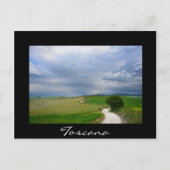 Route courbe en Toscane carte postale noire (Devant)