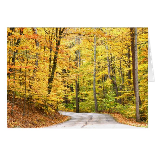 Route d'automne (Devant horizontal)
