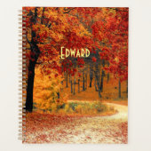 Route d'automne (Devant)