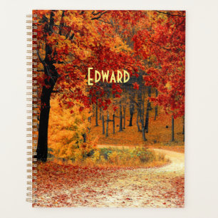 Route d'automne