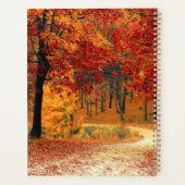 Route d'automne (Dos)