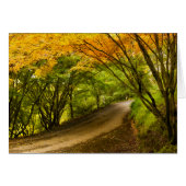 Route de la campagne à l'automne (Devant horizontal)