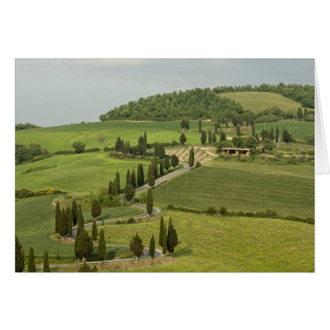 Route de Pienza à Montepulciano, (Devant horizontal)