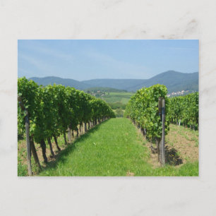 Route de Vins d'Alsace Briefkaart