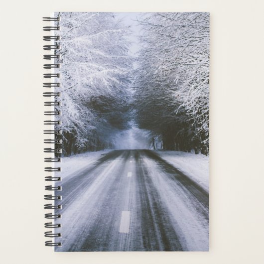 route d'hiver (Devant)